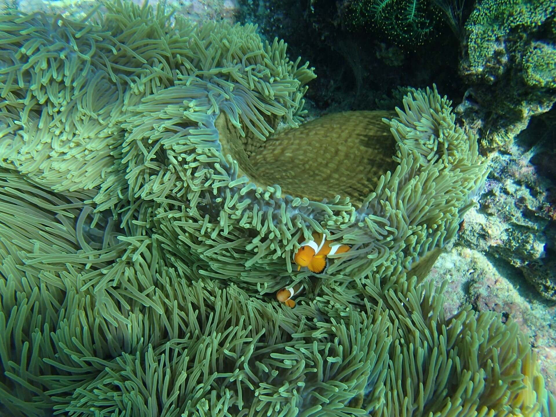 P3282504