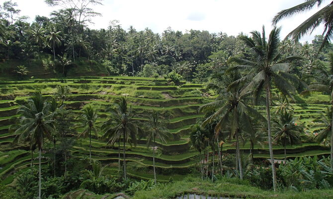P3272459